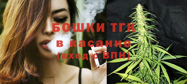 бошки Великий Новгород