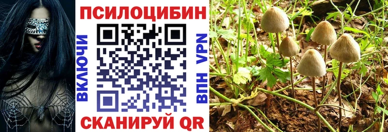 это какой сайт дарнет шоп Бабушкин Галлюциногенные грибы мицелий