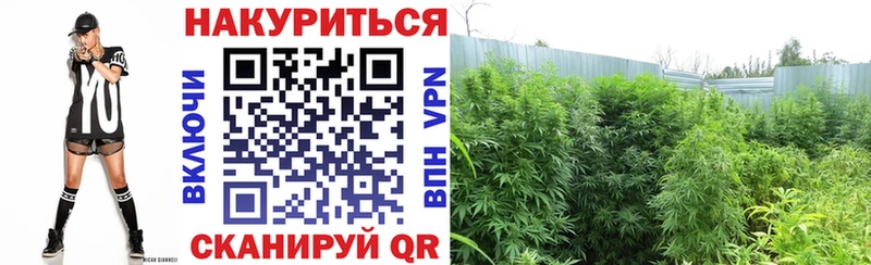 Шишки марихуана гибрид  MEGA tor  Бабушкин  наркотики 